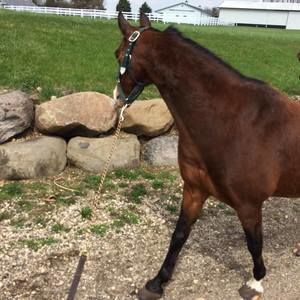 Meet your Posher, Emma